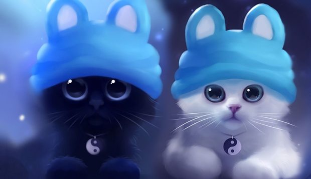 Beautiful Cute HD Wallpaper Free download Couple Cat.