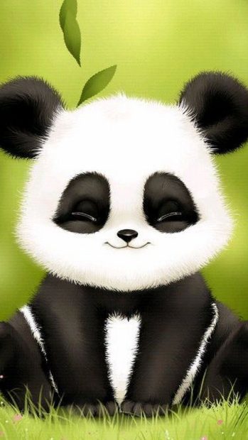 Beautiful Cute Panda Background.