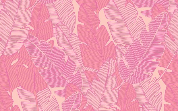 Beautiful Cute Pink Backgrounds.