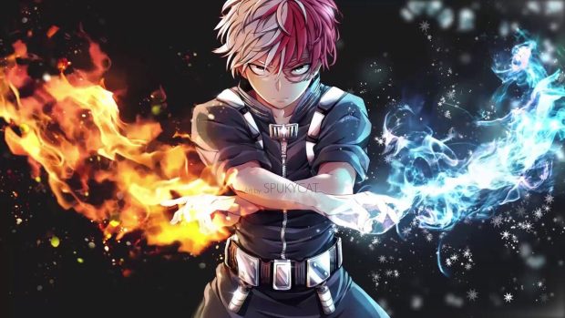 Beautiful Cute Todoroki Wallpaper HD.