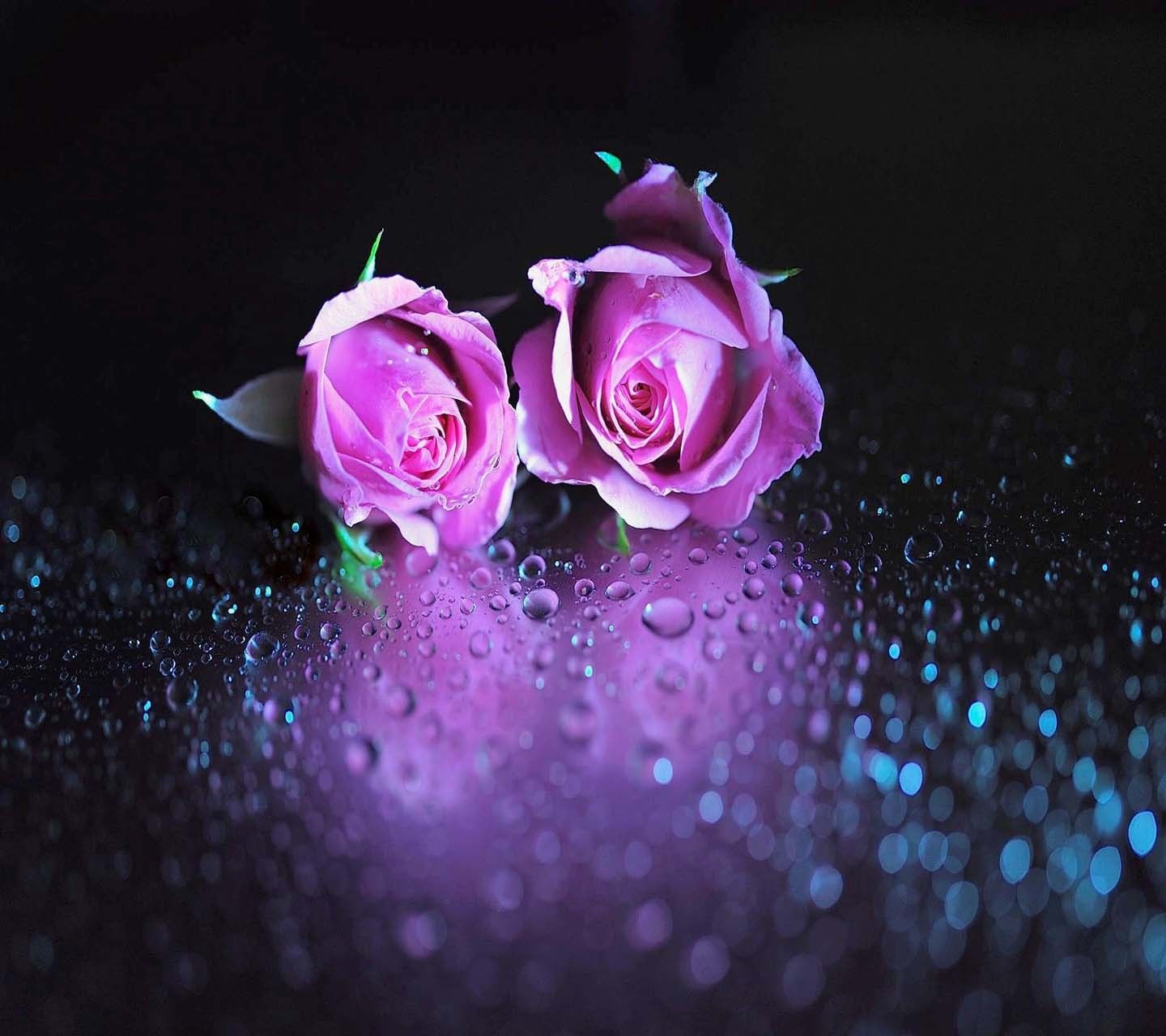 Beautiful Cute Wallpapers HD Free download Beautiful Cute Wallpapers HD Free download