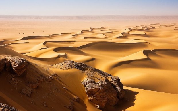 Beautiful Desert Background.