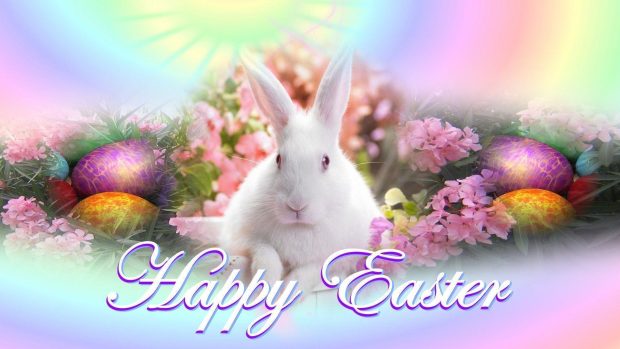 Beautiful Easter Bunny Wallpaper HD.