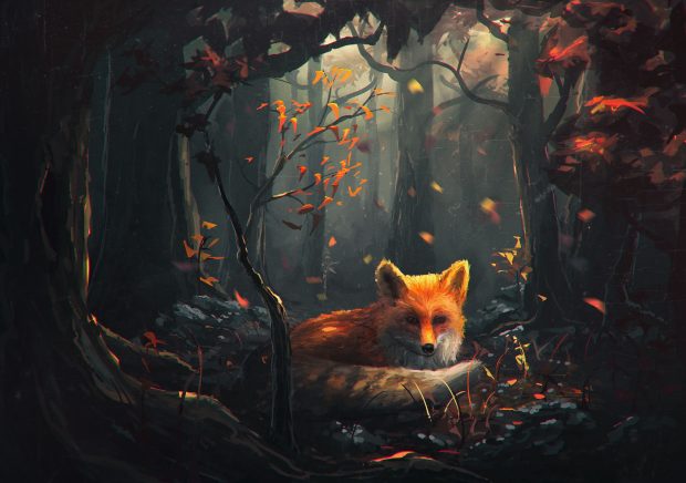 Beautiful Fox Wallpaper HD.