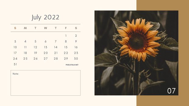 Beautiful July 2022 Calendar Background.