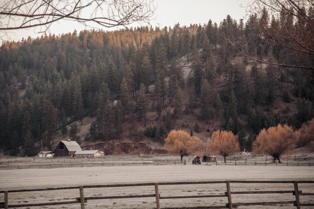 Beautiful Landscape on November (1).