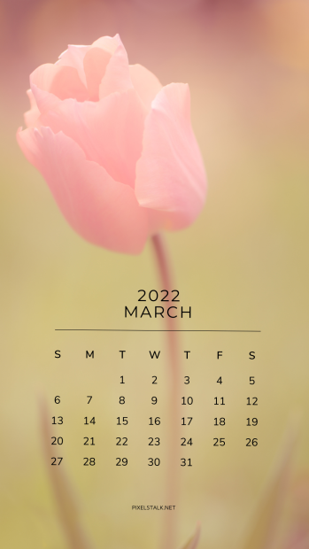 Beautiful March 2022 Calendar iPhone Wallpaper.