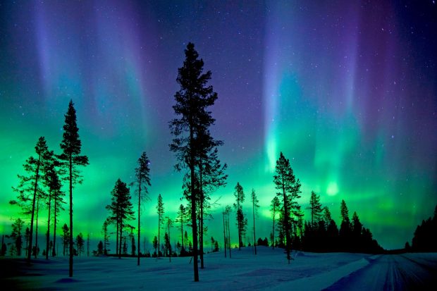 Beautiful Northern Lights Background.