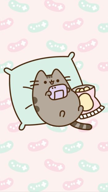 Beautiful Pusheen Wallpaper HD.