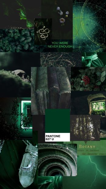 Beautiful Slytherin Aesthetic Background.