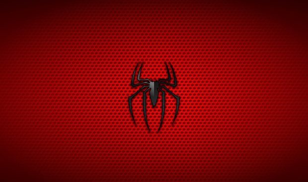 Beautiful Spider Man Wallpaper HD.