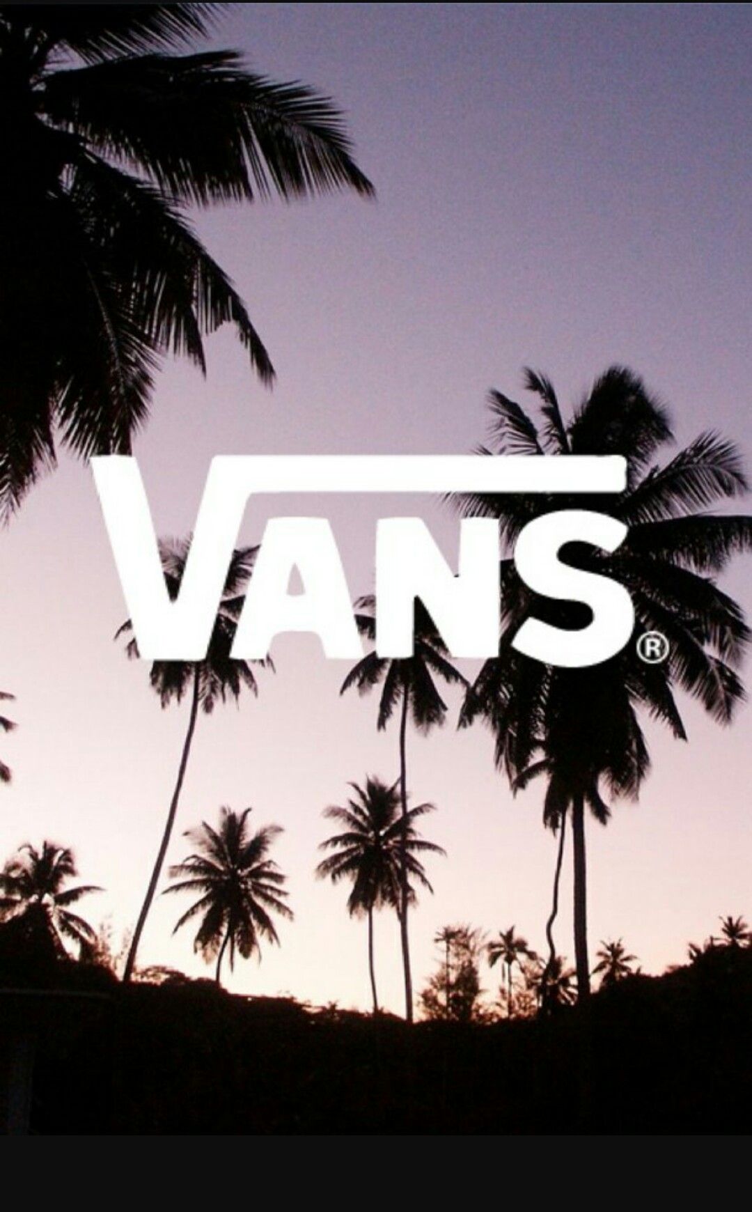 Aesthetic Vans Wallpapers  Top Free Aesthetic Vans Backgrounds   WallpaperAccess