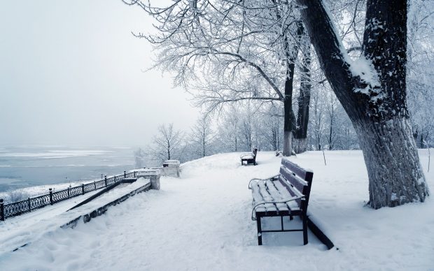 Beautiful Winter Background.