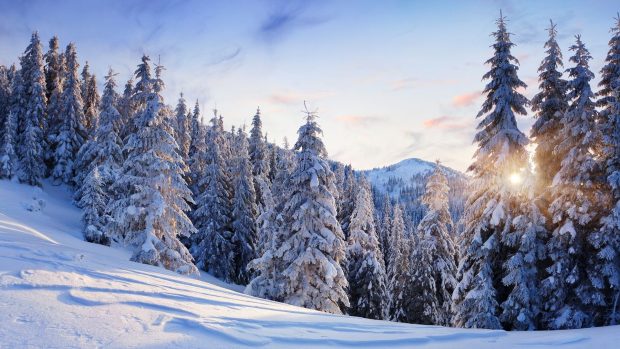 Beautiful Winter Mountain Wallpaper HD.