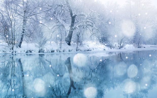 Beautiful Winter Wonderland Wallpaper HD.