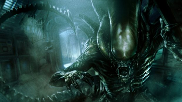 Beautiful Xenomorph Wallpaper HD.