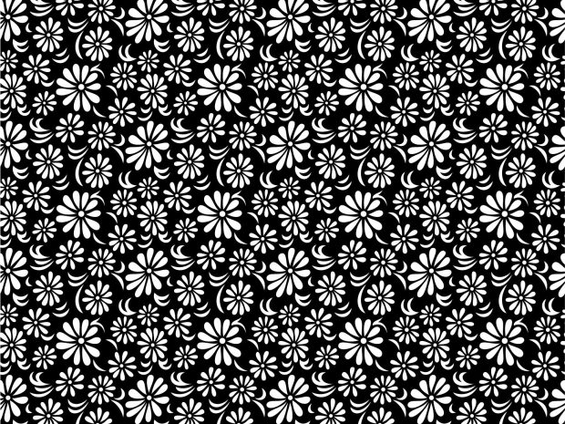 Black And White Aesthetic Wallpaper HD Free download.