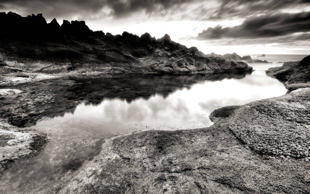 Black And White Aesthetic Wallpaper Nature.