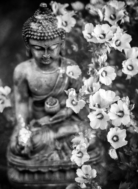 Black And White Buddha Background.