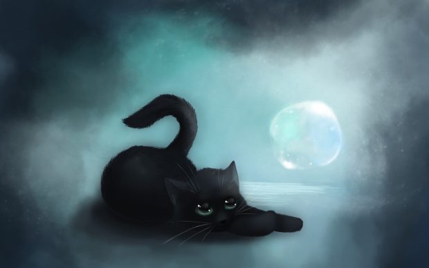 Black Cat Wallpaper HD.