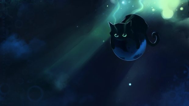 Black Cat Wallpaper High Quality.