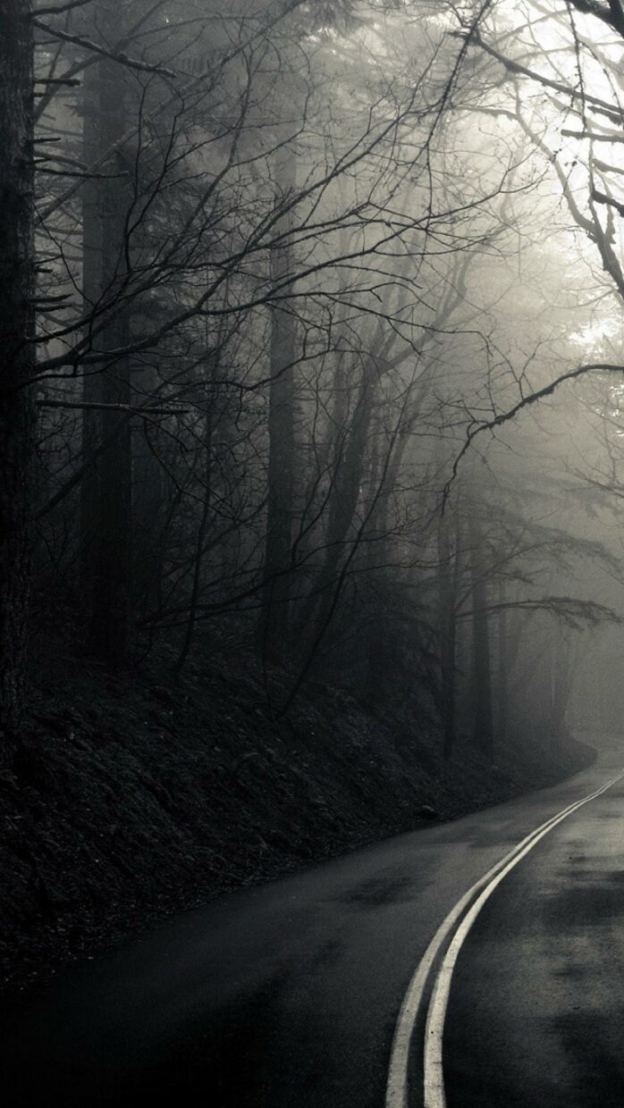 Dark Forest Backgrounds HD High Quality - PixelsTalk
