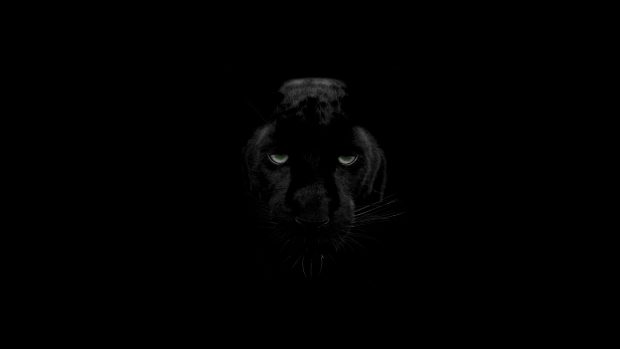 Black Panther 4K Wallpaper Desktop.