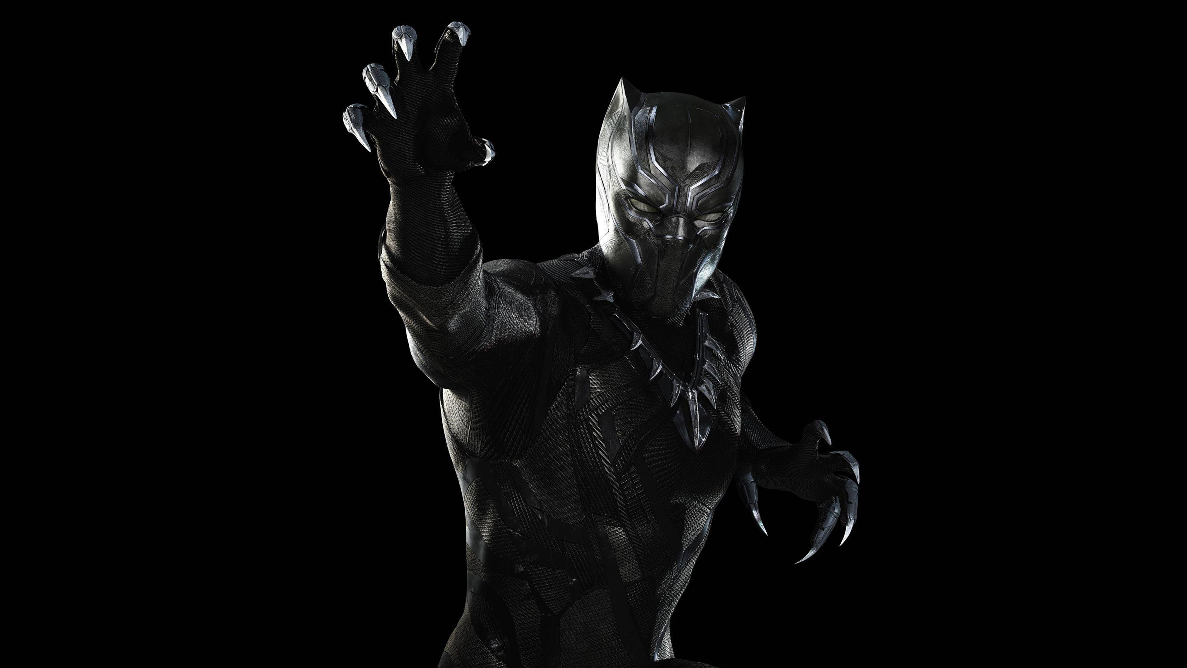 40 4K Black Panther Wallpapers  Background Images