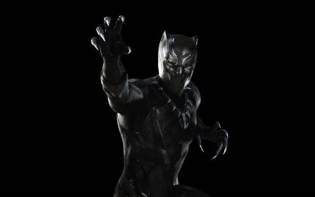 Black Panther Wide Screen Wallpaper HD.