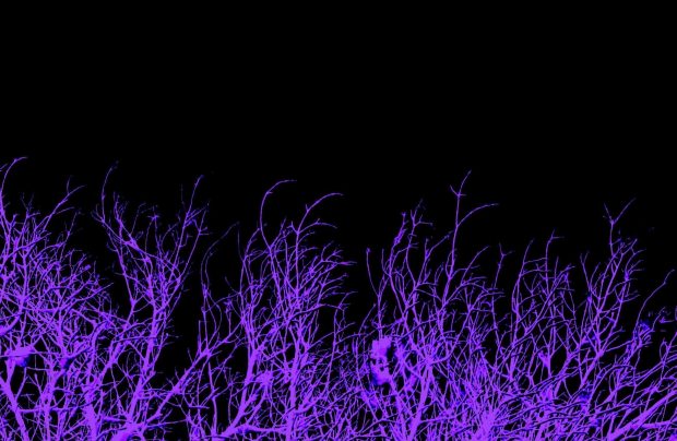 Black Purple Wallpaper Aesthetic Wallpaper HD.