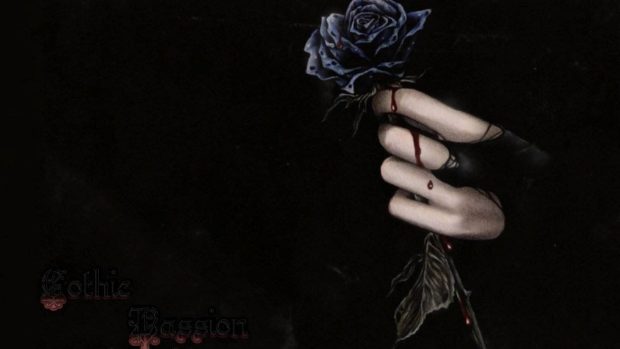 Black Rose Wallpaper HD.