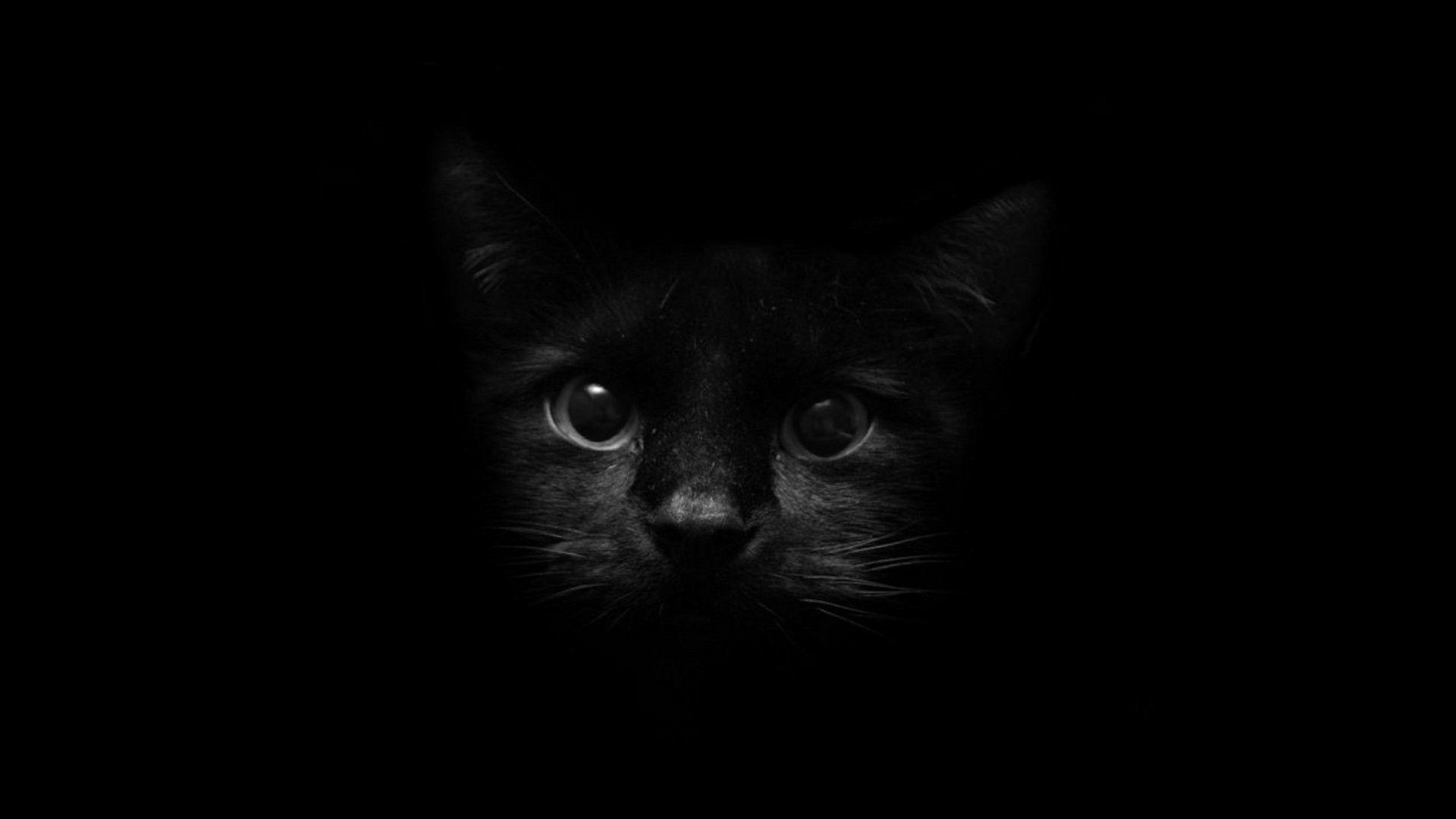 Black Screen Wallpaper (70+ images)