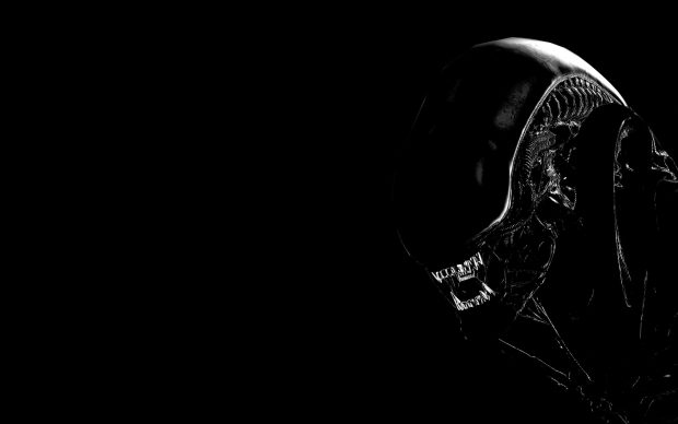 Black Xenomorph Wallpaper HD.