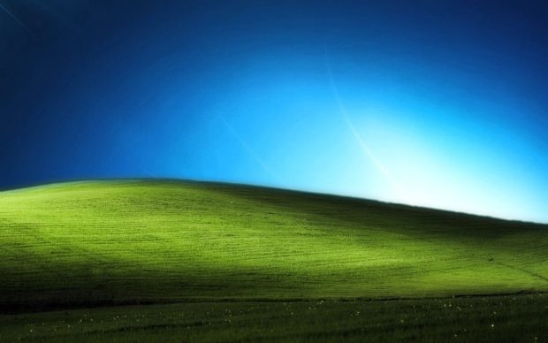 Bliss Wide Screen Wallpaper HD.