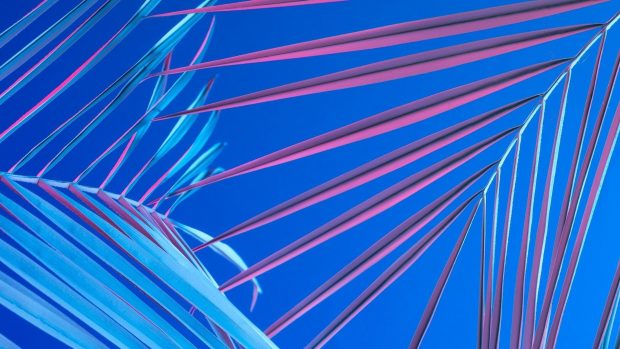 Blue Aesthetic HD Wallpaper Free download.