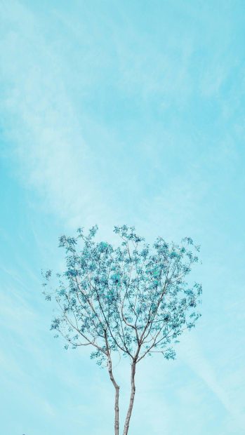 Blue Aesthetic Minimalist Background.