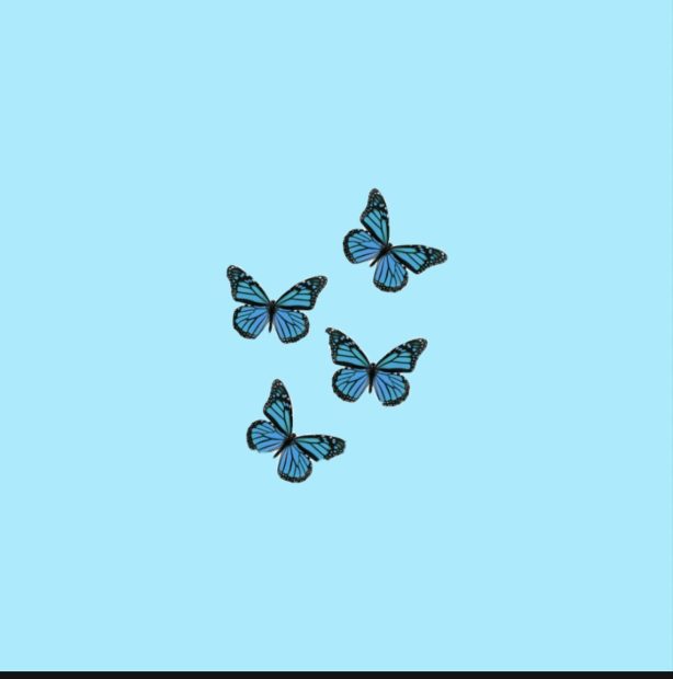 Blue Butterfly HD Wallpaper Aesthetic Free download Pastel.