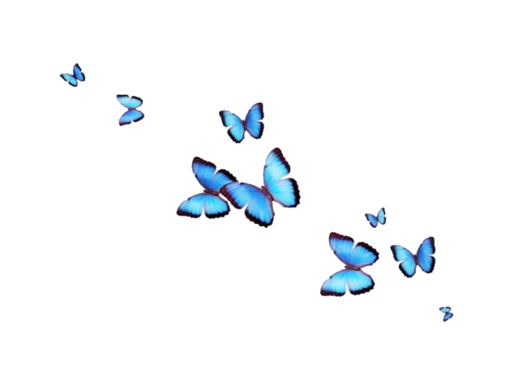 Blue Butterfly Backgrounds  Wallpaper Cave