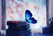 Blue Butterfly Wallpaper Aesthetic Book.