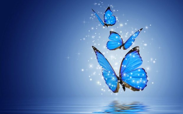 Blue Butterfly Wallpaper Aesthetic Cute.