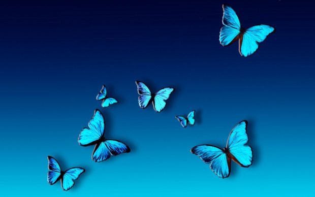 Blue Butterfly Wallpaper Aesthetic Dark.