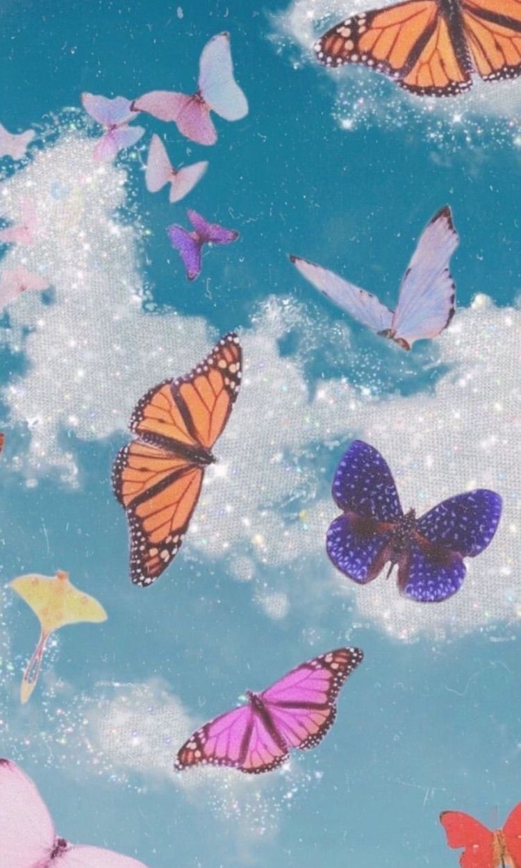 Download Blue And Beige Butterfly Aesthetic Wallpaper  Wallpaperscom