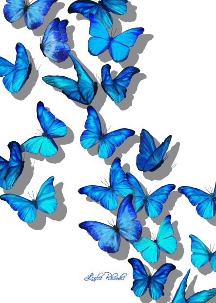 Blue Butterfly Wallpaper Aesthetic HD Free download.
