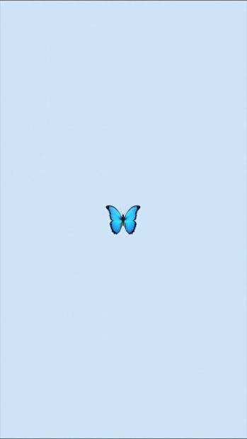 Blue Butterfly Wallpaper Aesthetic High Resolution Minimalist.