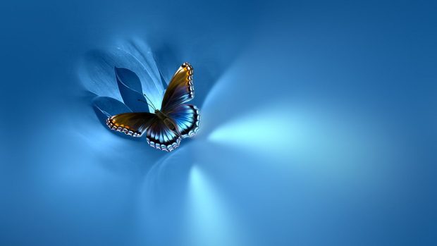 Blue Butterfly Wallpaper Aesthetic Light.