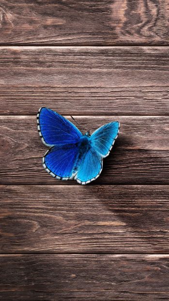 Blue Butterfly Wallpapers HD Iphone.