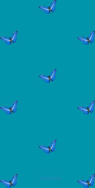 Blue Butterfly Wide Screen Wallpaper Aesthetic.