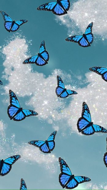 Blue Butterfly Wide Screen Wallpaper Aesthetic HD.