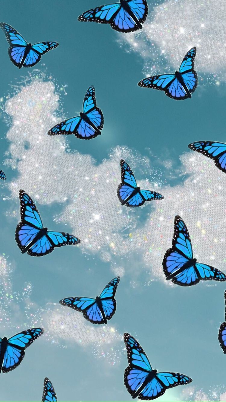 Black and Blue Butterfly Wallpaper  Black Wallpaper HD