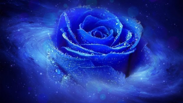 Blue Cool Image Free Download Rose.